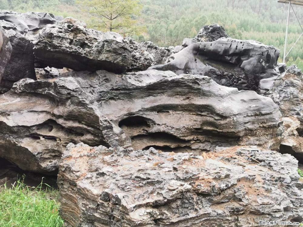 风景石、假山石大量有货，有需要的欢迎联系 - 新手上路 - 滁州生活社区 - 滁州28生活网 chuzhou.28life.net