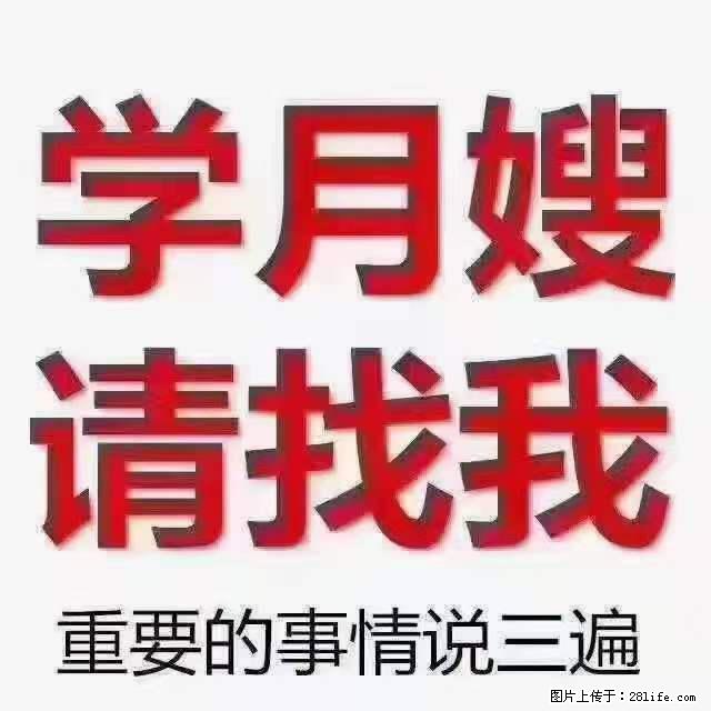 为什么要学习月嫂，育婴师？ - 其他广告 - 广告专区 - 滁州分类信息 - 滁州28生活网 chuzhou.28life.net