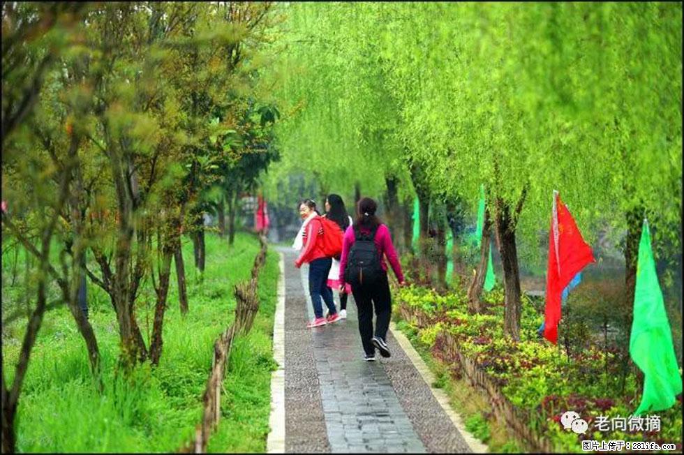 【春天，广西桂林灌阳县向您发出邀请！】江口老街又逢春 - 游山玩水 - 滁州生活社区 - 滁州28生活网 chuzhou.28life.net