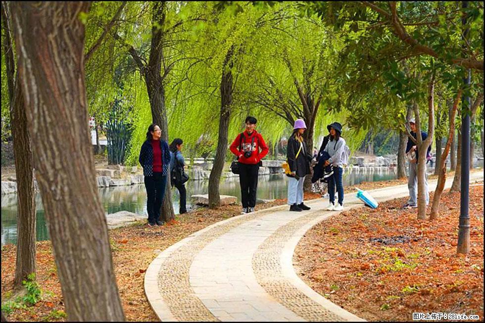 【春天，广西桂林灌阳县向您发出邀请！】江口老街又逢春 - 游山玩水 - 滁州生活社区 - 滁州28生活网 chuzhou.28life.net