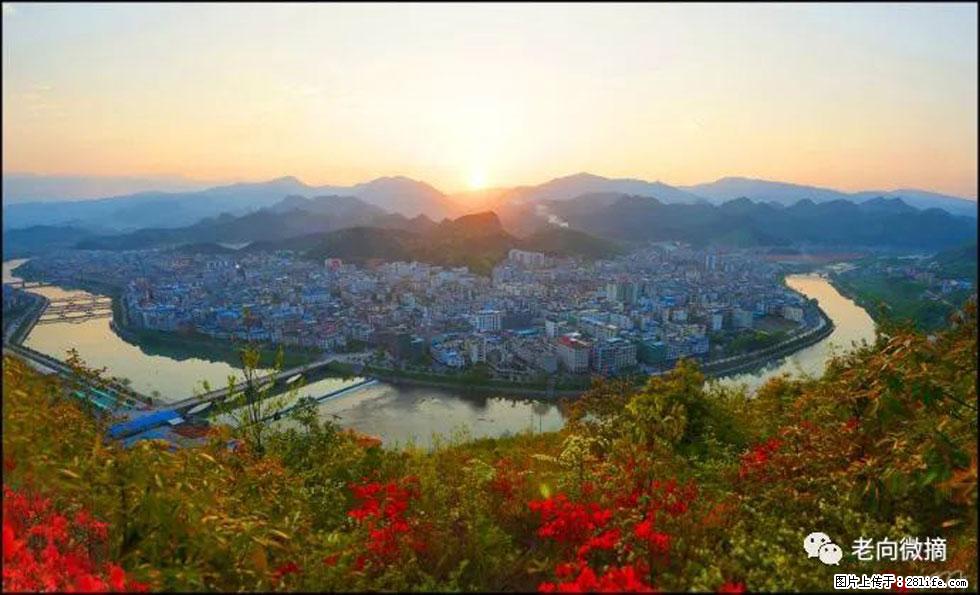 【春天，广西桂林灌阳县向您发出邀请！】登麒麟山，相约映山红 - 游山玩水 - 滁州生活社区 - 滁州28生活网 chuzhou.28life.net