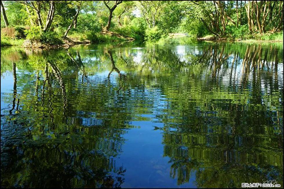 【春天，广西桂林灌阳县向您发出邀请！】熊家寨湿地公园 - 游山玩水 - 滁州生活社区 - 滁州28生活网 chuzhou.28life.net