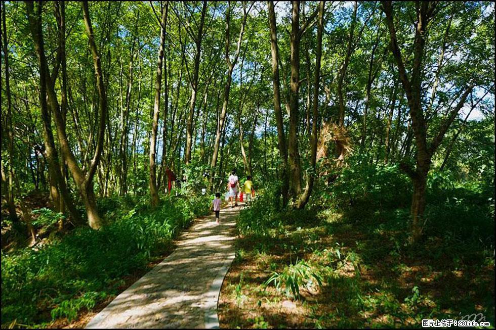 【春天，广西桂林灌阳县向您发出邀请！】熊家寨湿地公园 - 游山玩水 - 滁州生活社区 - 滁州28生活网 chuzhou.28life.net
