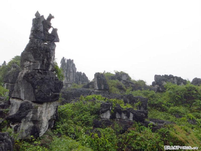 桂林旅游名城景点：灌阳文市石林 - 游山玩水 - 滁州生活社区 - 滁州28生活网 chuzhou.28life.net