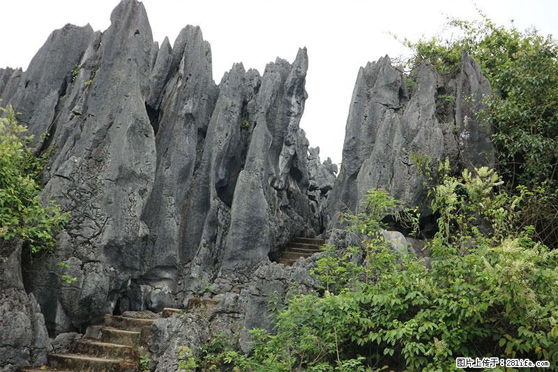 桂林旅游名城景点：灌阳文市石林 - 游山玩水 - 滁州生活社区 - 滁州28生活网 chuzhou.28life.net