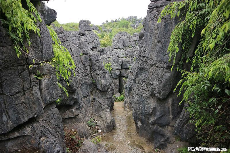 桂林旅游名城景点：灌阳文市石林 - 游山玩水 - 滁州生活社区 - 滁州28生活网 chuzhou.28life.net