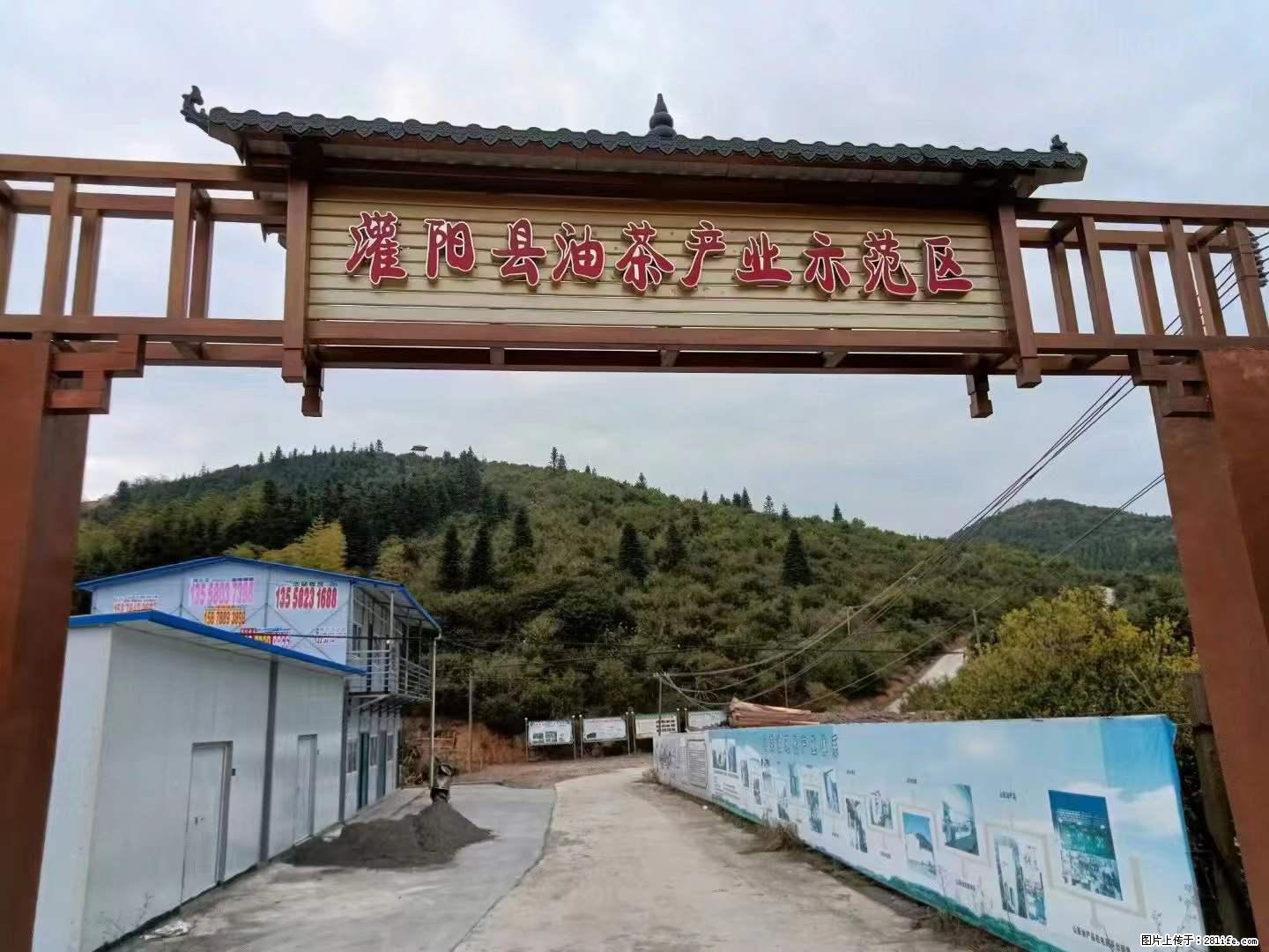 【灌阳县油茶产业示范区】一个有着充实的精神生活的人，对待身外之物自会有一种淡泊的态度 - 美食天地 - 滁州生活社区 - 滁州28生活网 chuzhou.28life.net