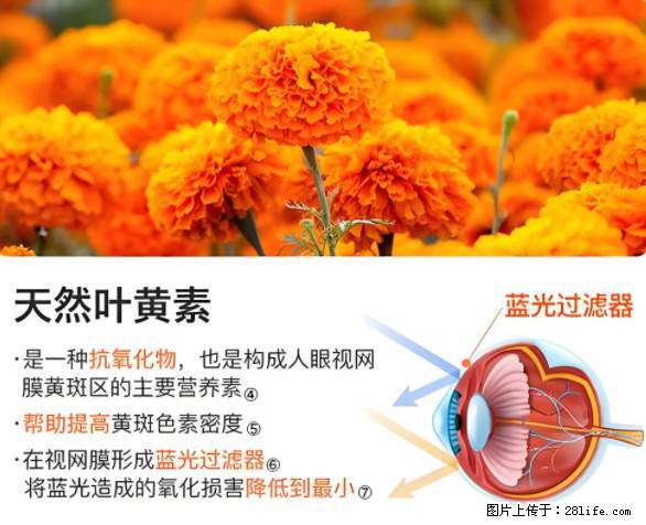 叶黄素有什么功效和作用 - 生活百科 - 滁州生活社区 - 滁州28生活网 chuzhou.28life.net