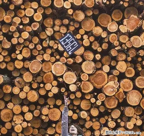 辞掉工作周游世界？现在他们在洗厕所…… - 游山玩水 - 滁州生活社区 - 滁州28生活网 chuzhou.28life.net