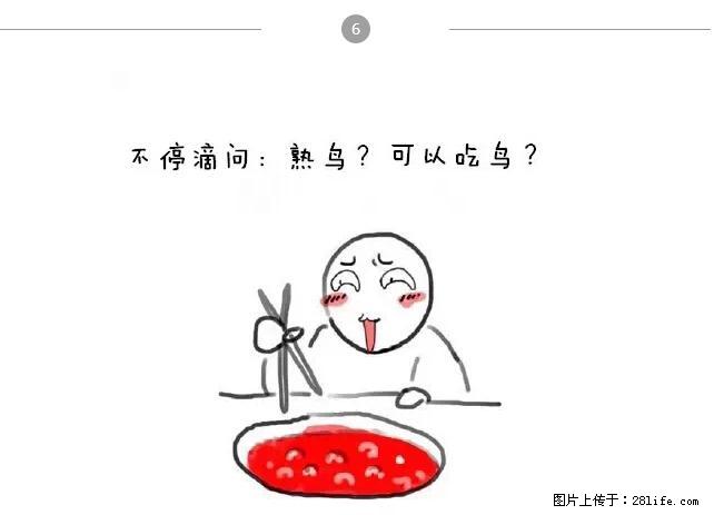 千万不要和这9种哈卵一起吃火锅！ - 美食天地 - 滁州生活社区 - 滁州28生活网 chuzhou.28life.net