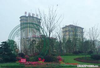 滁州城南大学城商务家庭套房式公寓（日租，短租） - 滁州28生活网 chuzhou.28life.net