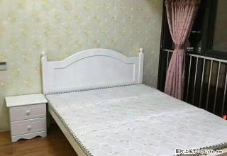 大金新百精装全配公寓房出租，长期价格可谈 - 滁州28生活网 chuzhou.28life.net