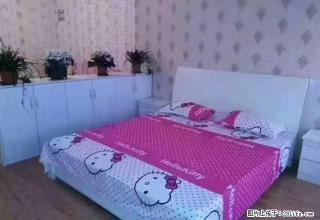 清流公园 紫薇小学旁 泰鑫城市星座单身公寓 - 滁州28生活网 chuzhou.28life.net