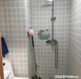 紫薇小学对面泰鑫星座单身公寓精装全配拎包入住 - 滁州28生活网 chuzhou.28life.net
