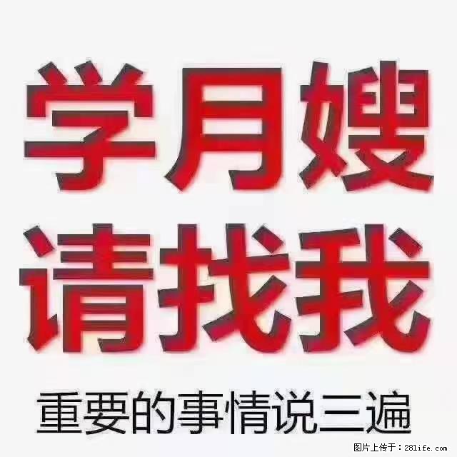 【招聘】月嫂，上海徐汇区 - 职场交流 - 滁州生活社区 - 滁州28生活网 chuzhou.28life.net