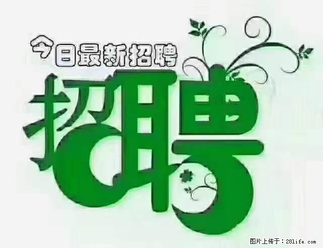 上海青浦区招仓管 - 职场交流 - 滁州生活社区 - 滁州28生活网 chuzhou.28life.net