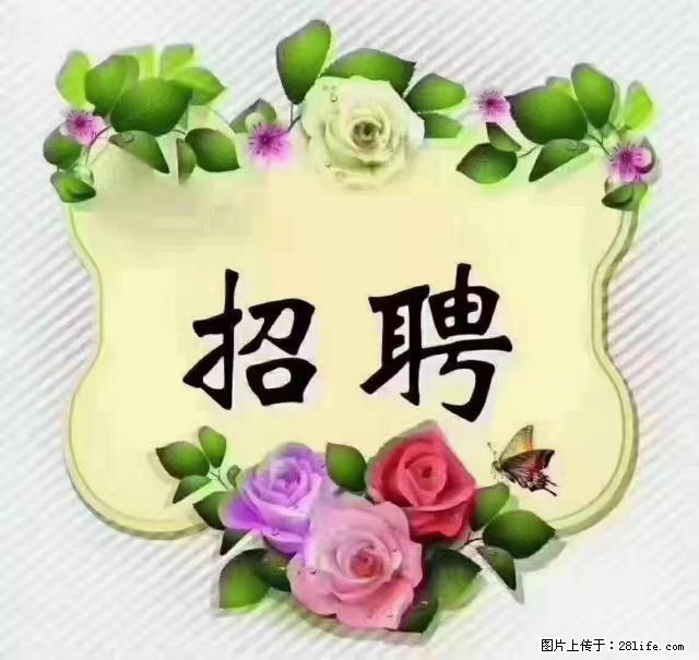 【招聘】住家育儿嫂，上户日期：4月4日，工作地址：上海 黄浦区 - 职场交流 - 滁州生活社区 - 滁州28生活网 chuzhou.28life.net