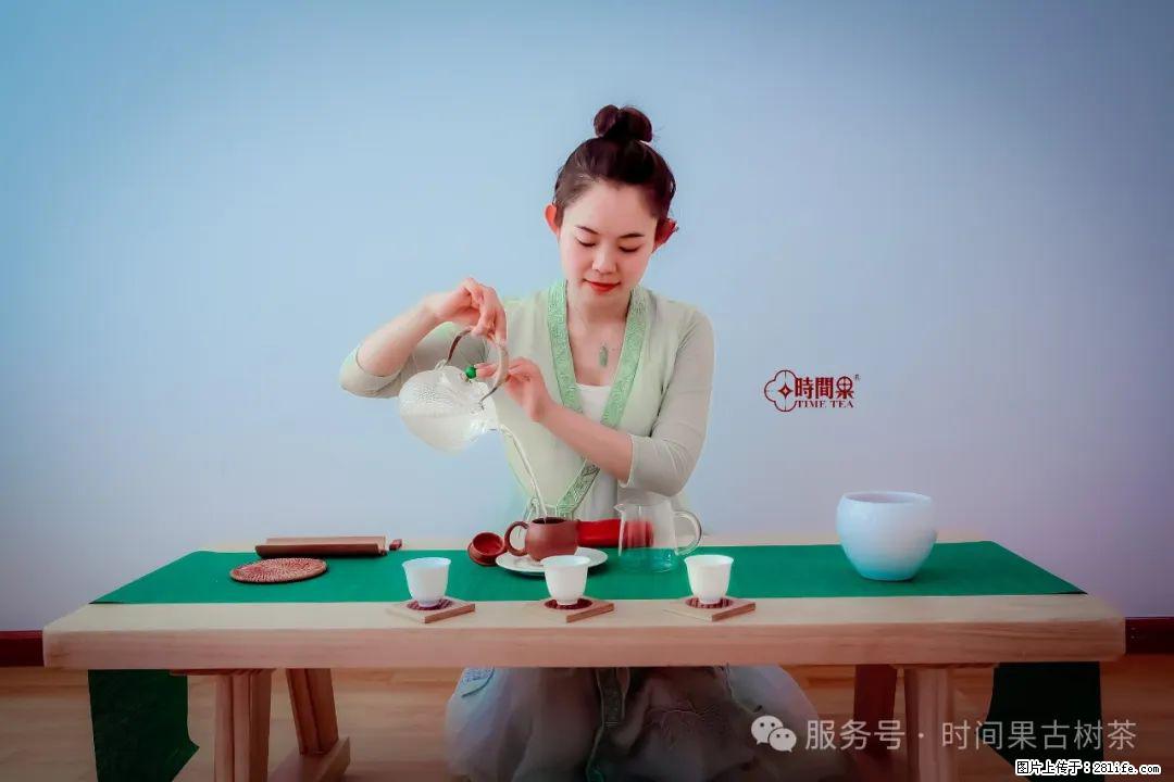时间果百年古树龙珠普洱生茶 - 购物交流 - 滁州生活社区 - 滁州28生活网 chuzhou.28life.net