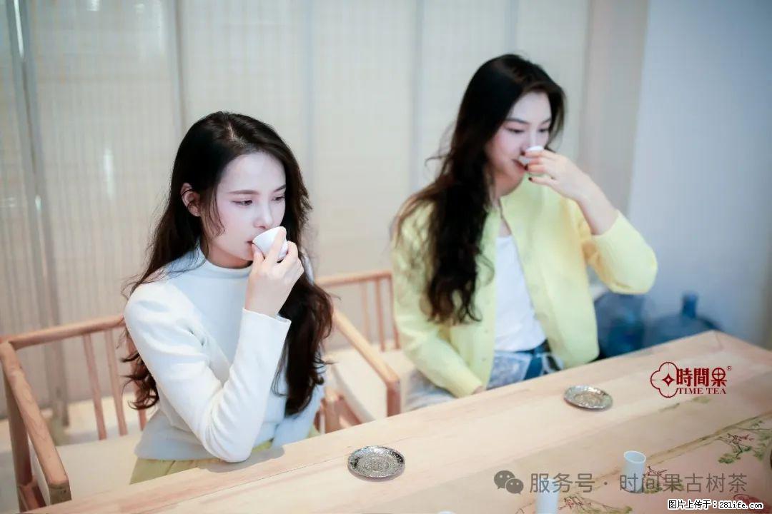 时间果百年古树龙珠普洱生茶 - 购物交流 - 滁州生活社区 - 滁州28生活网 chuzhou.28life.net