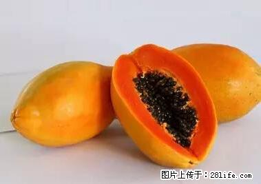 晕车、脚气、牙齿变黄、皮肤粗糙？学会这些三分钟搞定！ - 滁州生活资讯 - 滁州28生活网 chuzhou.28life.net