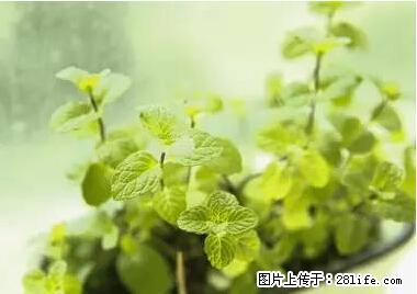 晕车、脚气、牙齿变黄、皮肤粗糙？学会这些三分钟搞定！ - 滁州生活资讯 - 滁州28生活网 chuzhou.28life.net
