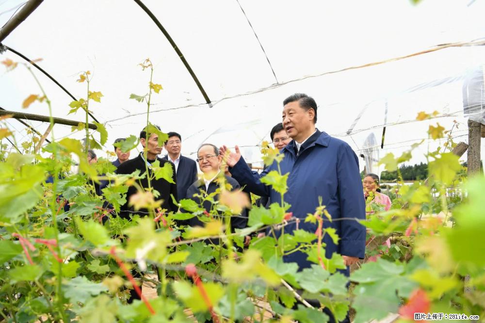 习近平赴广西考察调研 - 滁州生活资讯 - 滁州28生活网 chuzhou.28life.net