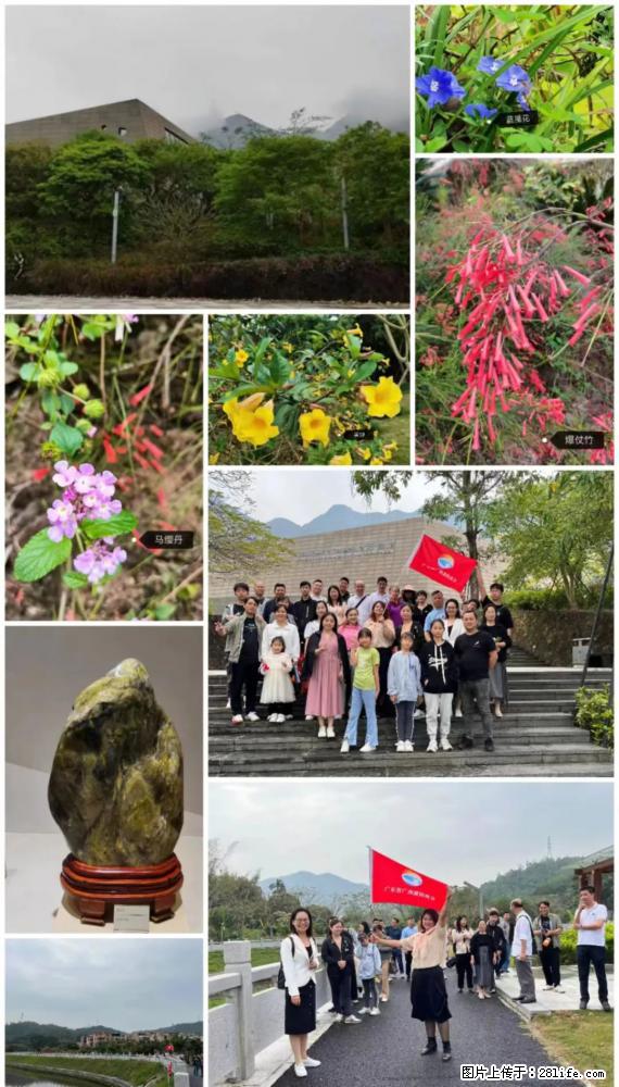 “粤灌文化 美好生活”油茶文化主题活动在广东深圳成功举办 - 滁州生活资讯 - 滁州28生活网 chuzhou.28life.net