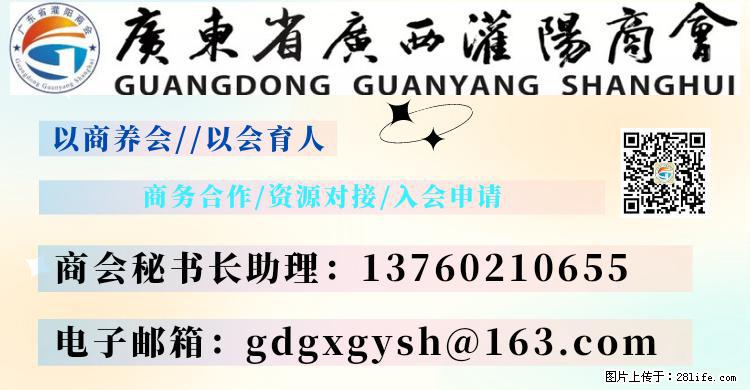 “粤灌文化 美好生活”油茶文化主题活动在广东深圳成功举办 - 滁州生活资讯 - 滁州28生活网 chuzhou.28life.net