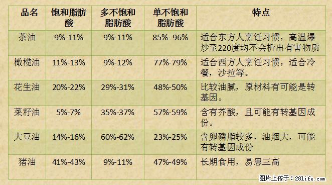 揭秘茶油的5大核心营养成分！被称为人体健康的“守护盾”！ - 滁州生活资讯 - 滁州28生活网 chuzhou.28life.net