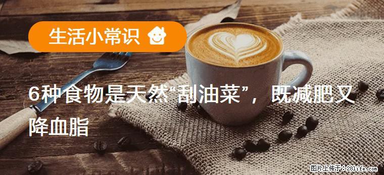 【生活小常识】6种食物是天然“刮油菜”，既减肥又降血脂 - 滁州生活资讯 - 滁州28生活网 chuzhou.28life.net