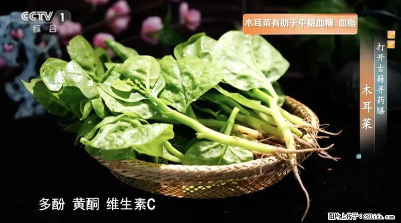 比牛奶补钙还厉害！凉血解毒、稳血糖...这菜冬天必吃，很多人却当草 - 滁州生活资讯 - 滁州28生活网 chuzhou.28life.net
