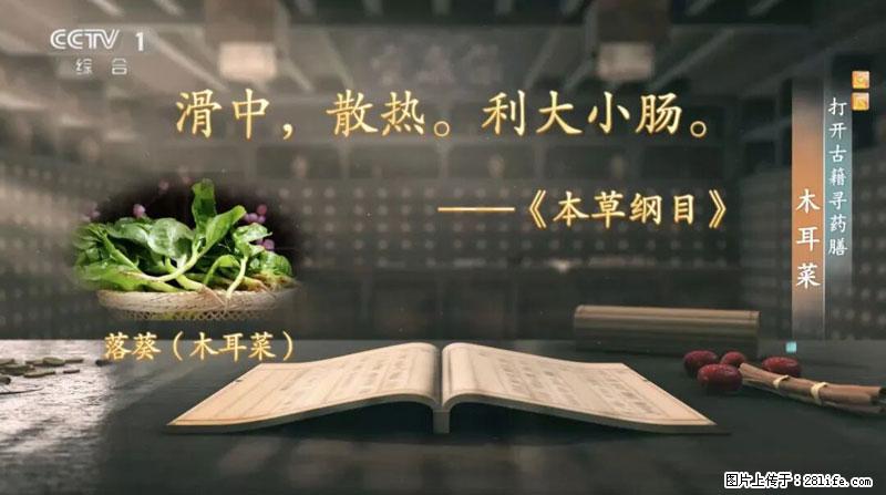 比牛奶补钙还厉害！凉血解毒、稳血糖...这菜冬天必吃，很多人却当草 - 滁州生活资讯 - 滁州28生活网 chuzhou.28life.net