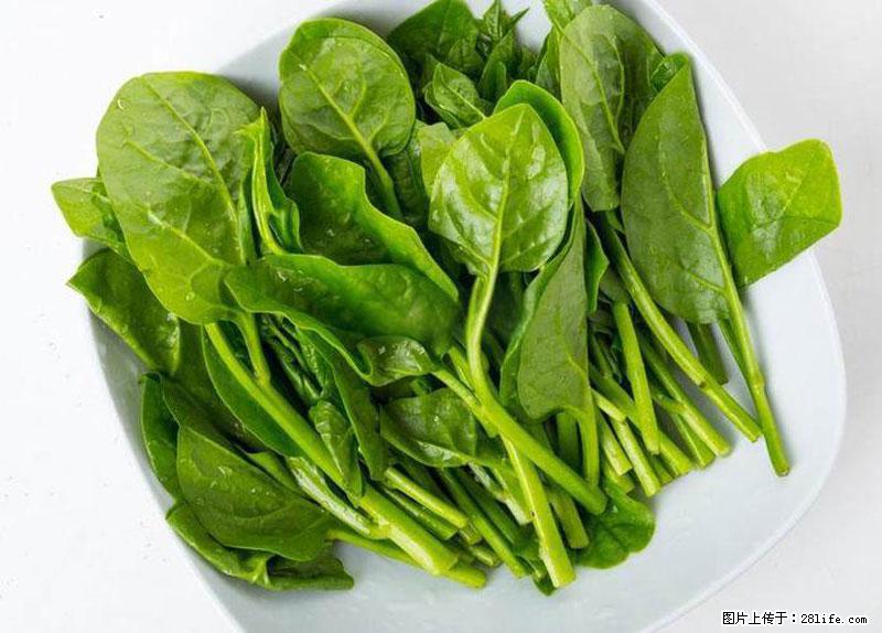 这些蔬菜是“天然钙片”，这6种被医生重点推荐 - 滁州生活资讯 - 滁州28生活网 chuzhou.28life.net