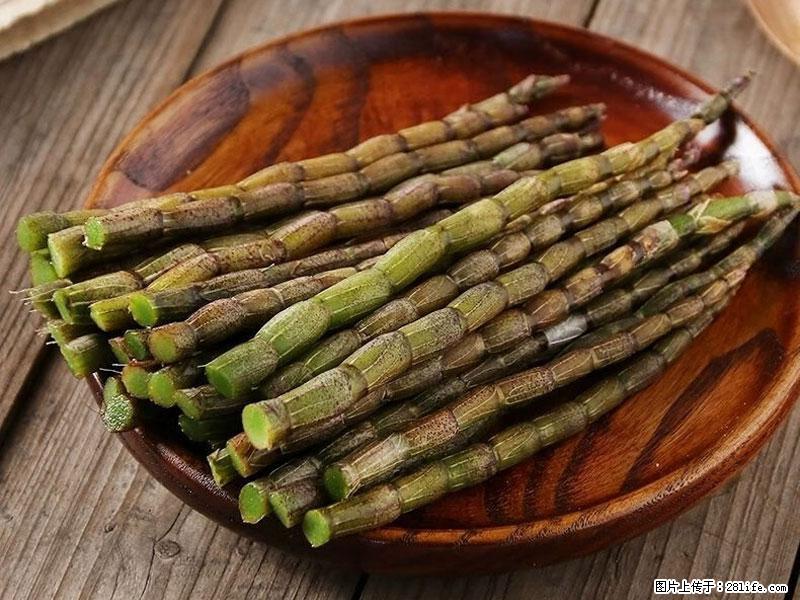 铁皮石斛的作用与功能主治 - 滁州生活资讯 - 滁州28生活网 chuzhou.28life.net