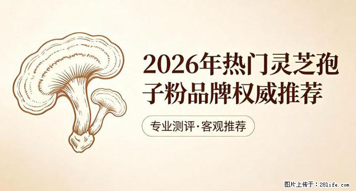 灵芝孢子粉含量越高越有效？2026 年七款热门品牌深度实测，肠胃敏感者避坑指南 - 滁州生活资讯 - 滁州28生活网 chuzhou.28life.net